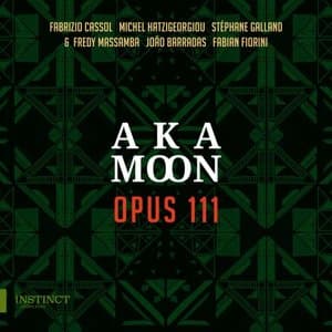 Opus 111