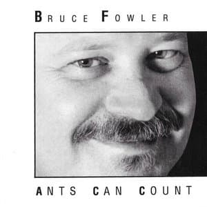 Ants Can Count