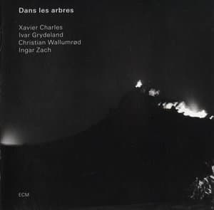 Dans Les Arbres
