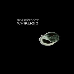 Whirligig