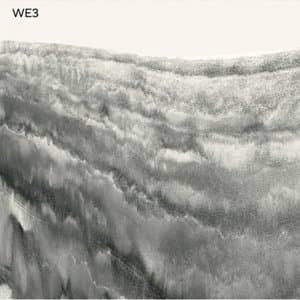 WE3