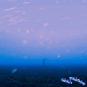 Soul-Searcher