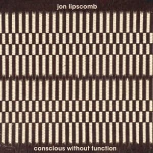 Conscious Without Function