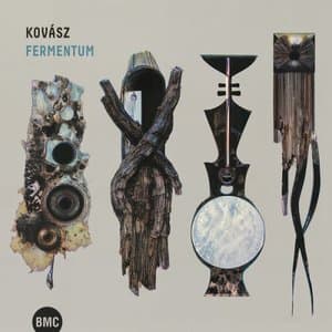 Fermentum