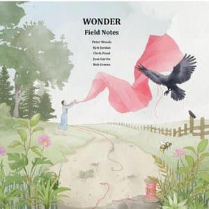Wonder