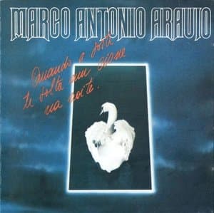 Quando A Sorte Te Solta Um Cisne Na Noite
