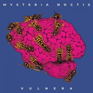 Vulnera