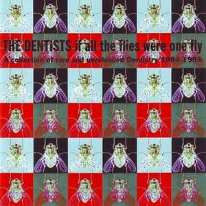 If All The Flies Were One Fly