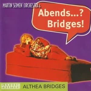 Abends..._ Bridges!