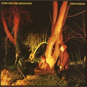 Crocodiles (Expanded) [2007 Remaster]