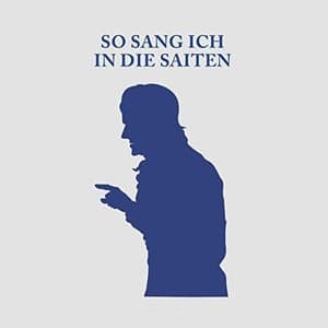 So sang ich in die Saiten