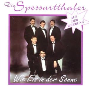 Wie Eis in der Sonne