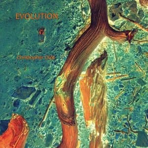 Evolution