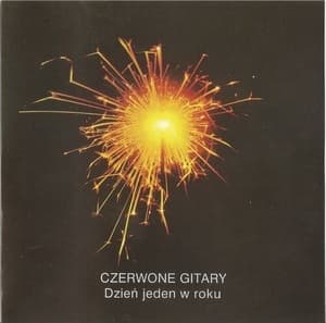 Dzień Jeden W Roku