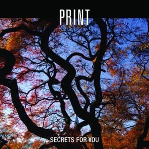 Secrets for You