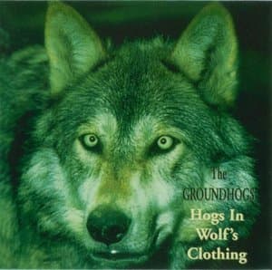 Hogs In Wolfs Clothing