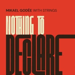 Nothing to Declare