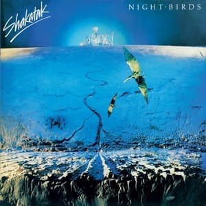 Night Birds +1
