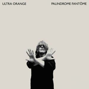 Palindrome Fantome