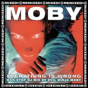 Everything Is Wrong: Non-stop DJ Mix by Evil Ninja Moby