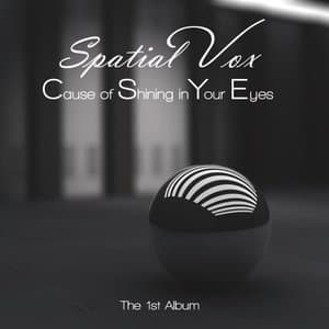 Cause Of Shining In Your Eyes (The 1st Album)