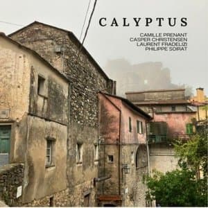 Calyptus
