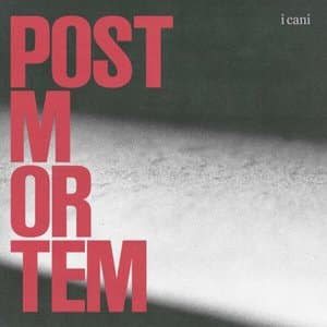 post mortem