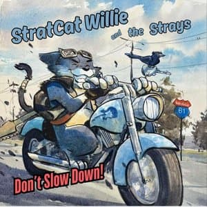Dont Slow Down!
