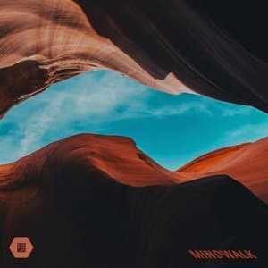 Mindwalk