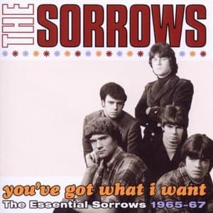 Youve Got What I Want: The Essential Sorrows 1965-67