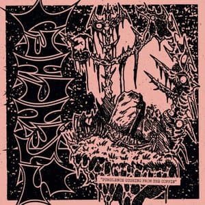 Purulence Gushing From The Coffin