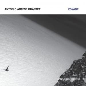 Voyage