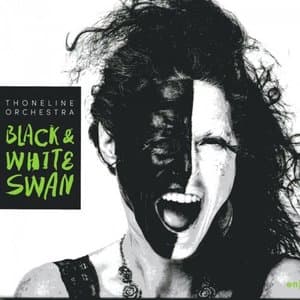 Black & White Swan