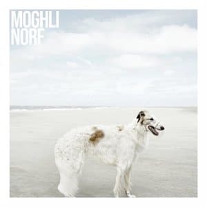 Norf