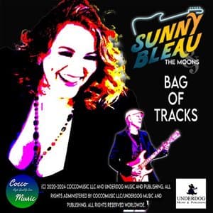 Bag of Tracks