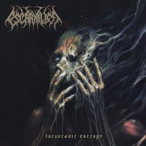 Inexorable Entropy