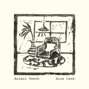 Nice Cave