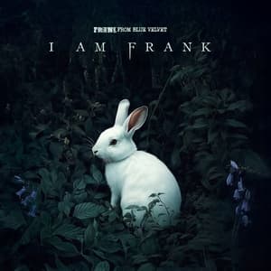 I Am Frank