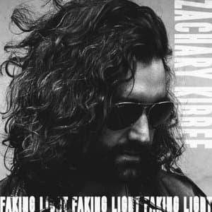 Faking Light