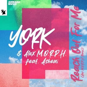 Reach Out For Me (Alex M.O.R.P.H. Remix)