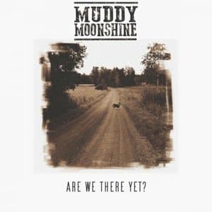 Are We There Yet?