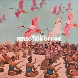 Reflection of Mine