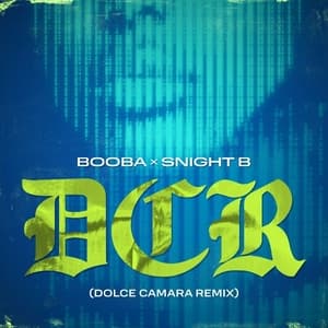 Dolce Camara (Snight B Remix)