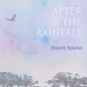After the Rainfall