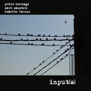 Inputs