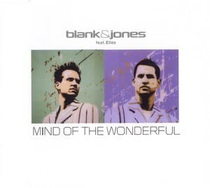 Mind Of The Wonderful [CDM]