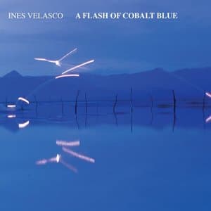 A Flash of Cobalt Blue