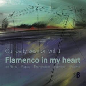 Curiosity Session Vol 1 - Flamenco in my heart