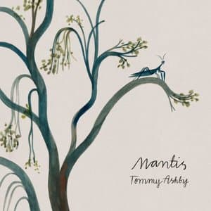 Mantis