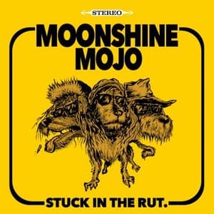 Stuck in the Rut